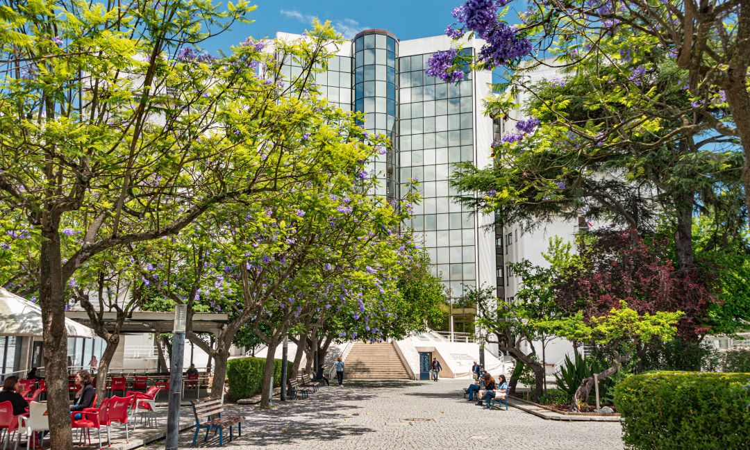 Facultad de Ciencias Sociales y Humanidades de la Universidade NOVA de Lisboa