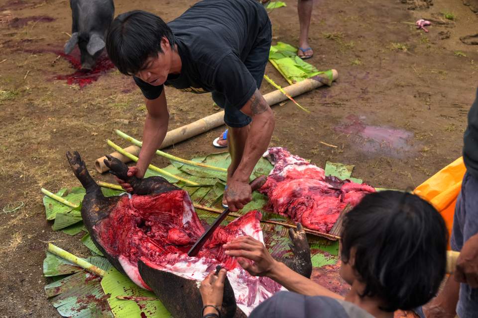 Tana Toraja